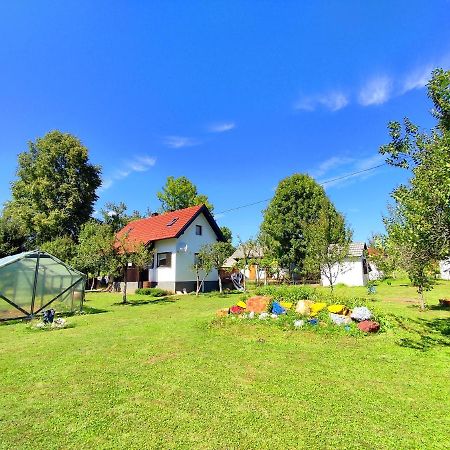 Apartments Eco Forest Resort ラコヴィツァ エクステリア 写真