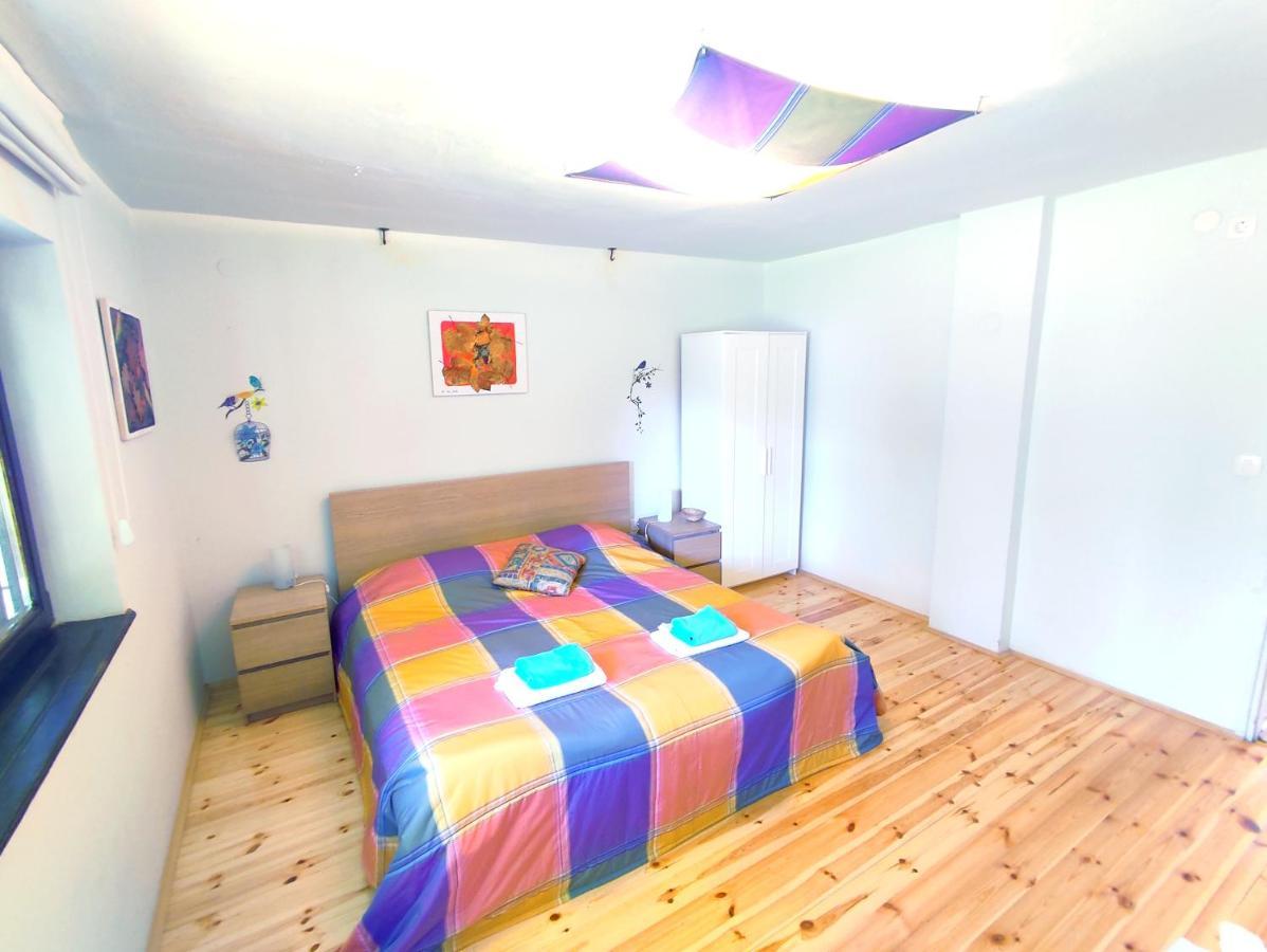 Apartments Eco Forest Resort ラコヴィツァ エクステリア 写真