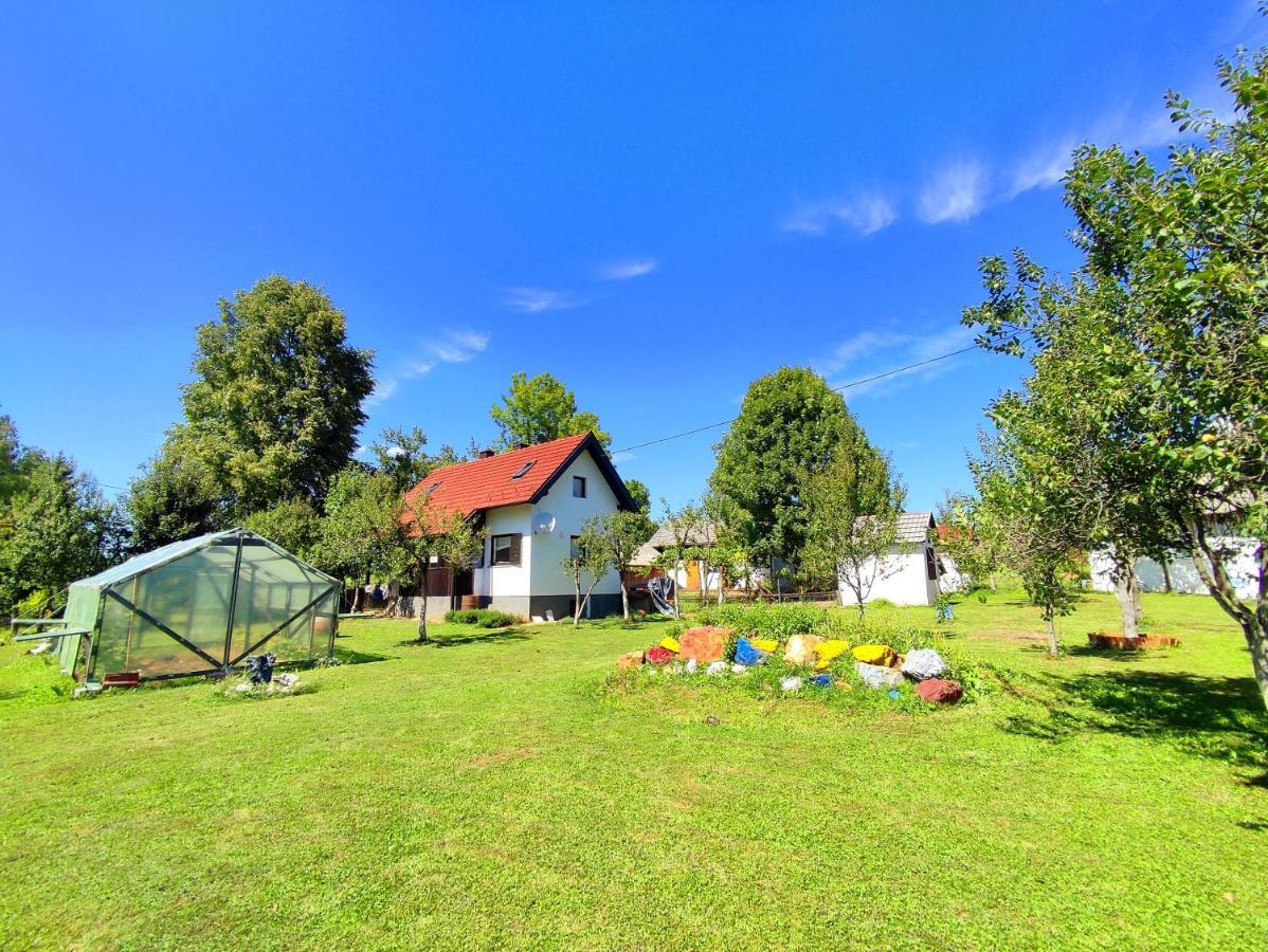 Apartments Eco Forest Resort ラコヴィツァ エクステリア 写真