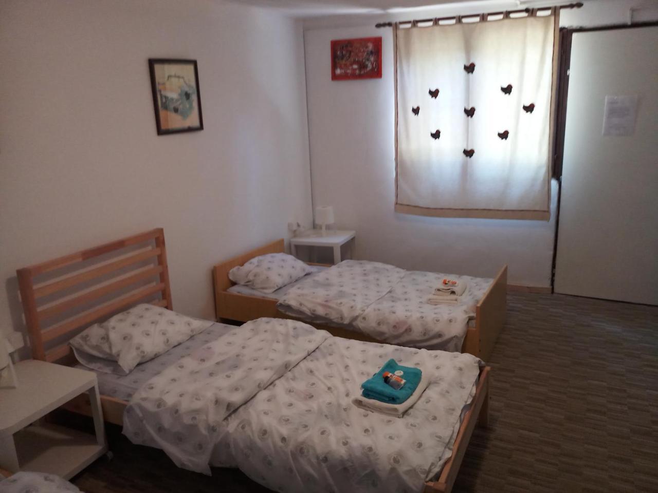 Apartments Eco Forest Resort ラコヴィツァ エクステリア 写真